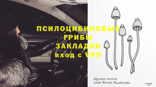 гашик Дмитриев