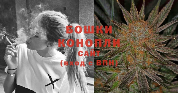 гашик Дмитриев