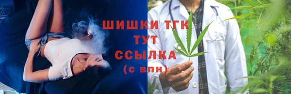 гашик Дмитриев