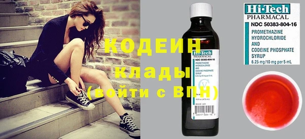 гашик Дмитриев