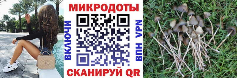 купить сайты KRAKEN ссылки Галлюциногенные грибы мухоморы Рыбинск